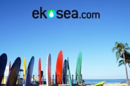 Ekosea-plateforme-crowdfunding-glisse