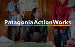 plateforme-patagonia-action-works